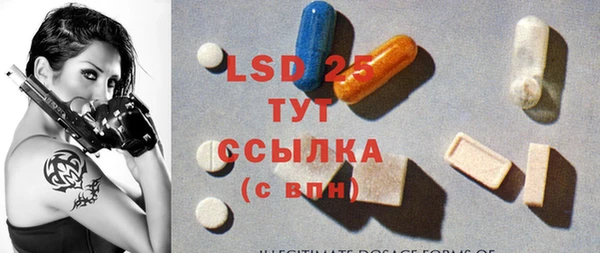 ГАЛЛЮЦИНОГЕННЫЕ ГРИБЫ Балабаново